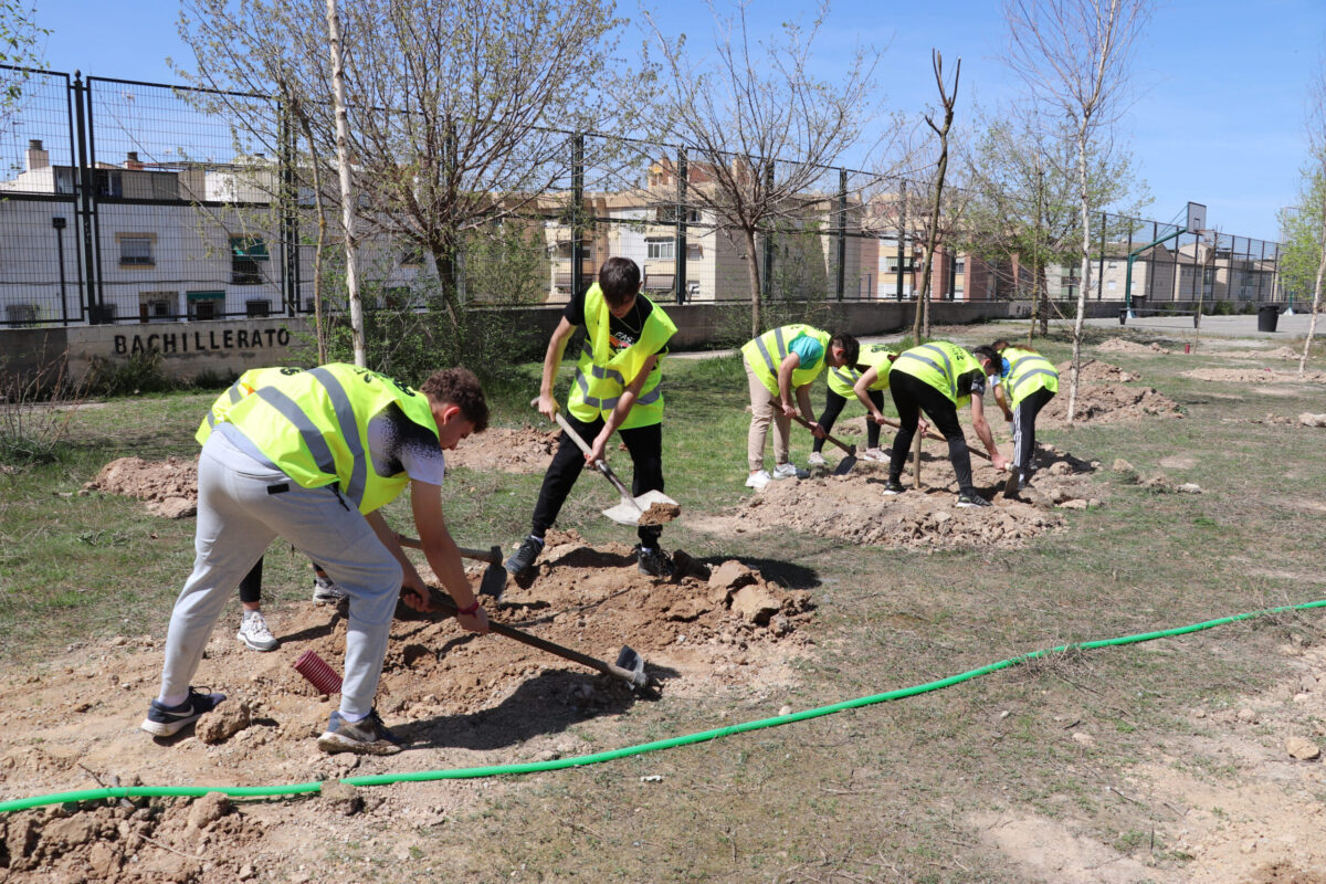 Una treintena de estudiantes del IES Manuel de Falla plantan 100 árboles