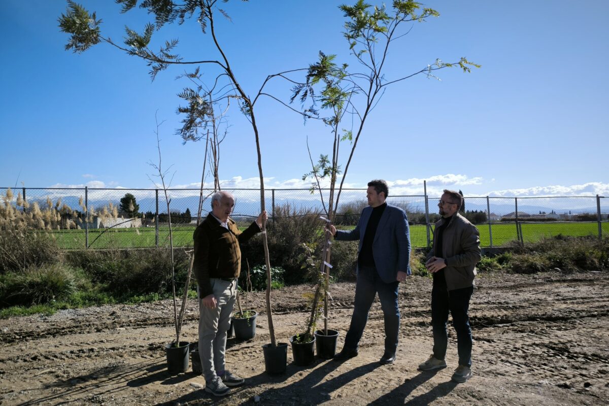 Maracena planta más de 300 nuevos árboles para combatir el cambio climático