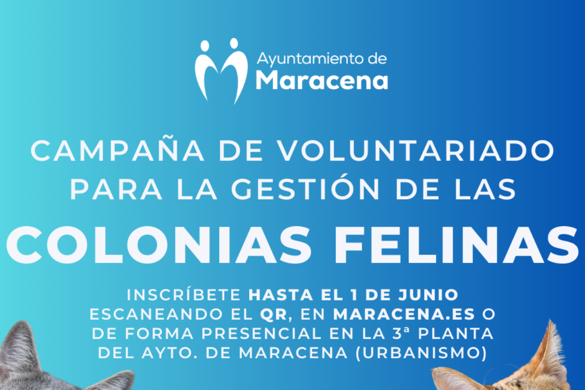 CAMPAÑA DE VOLUNTARIADO PARA LA GESTIÓN DE LAS COLONIAS FELINAS