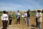 Maracena adquiere 1.000 metros cuadrados de zona verde en la entrada del Camino de la Torrecilla